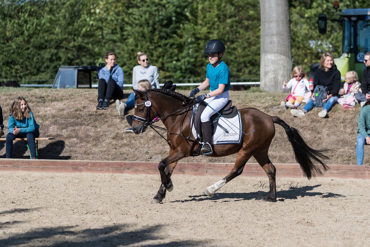 Bild 101 - Pony Akademie Turnier